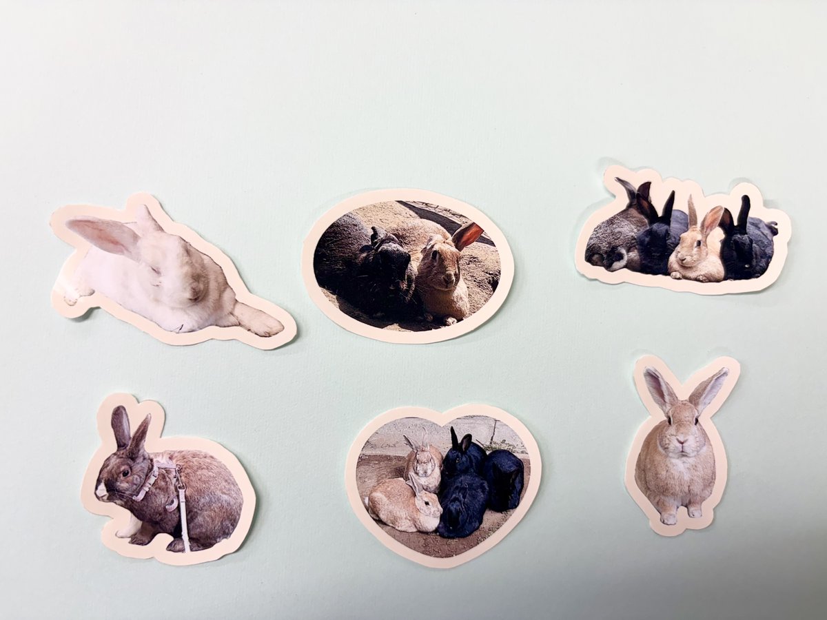 chausuyamazoo's tweet photo. [もうすぐうさぎの日🐰]

9月26日は、午後14時～14時30分まで
子供動物園内においてうさぎのお散歩や
ふれあいタイムを行います！
参加者には、うさぎシールをプレゼント🎁

ぜひお越しください✨

＃茶臼山動物園　＃城山動物園　＃国際ウサギの日🐇 https://t.co/vSBTZCUQjB