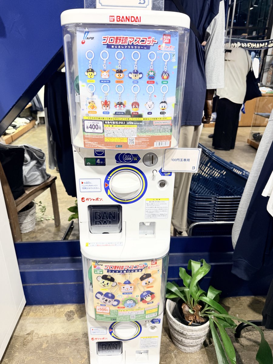 BlueLight428's tweet photo. ＋Bにプロ野球マスコットのフェイスぬいぐるみもめじるしチャームもあるんだ！？

そもそもここにガチャガチャあったんだ https://t.co/3WQwCtCNbx