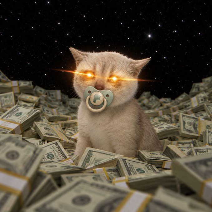 BAayhv's tweet photo. $BABYCASHCAT is the one that can do the 100x pump, don't snooze on it. https://t.co/k7C6P6HIqi