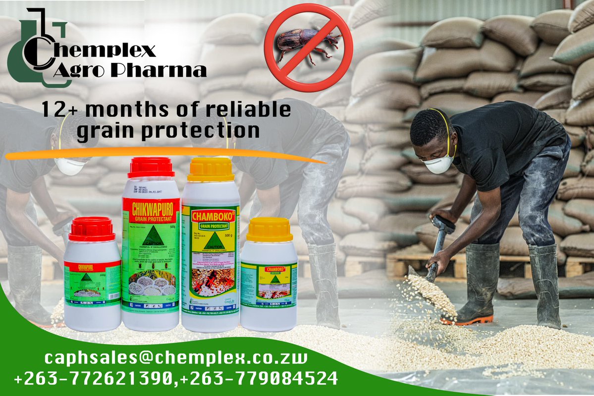 CAPHZW's tweet photo. Your hard work in the field deserves protection in the granary too.
 Chikwapuro &amp; Chamboko – trusted grain protectants that keep weevils, borers and pests OUT of your maize, rapoko and grain stores.
No more losing your harvest to pests after all that hard work. https://t.co/ryt3FF8qlr