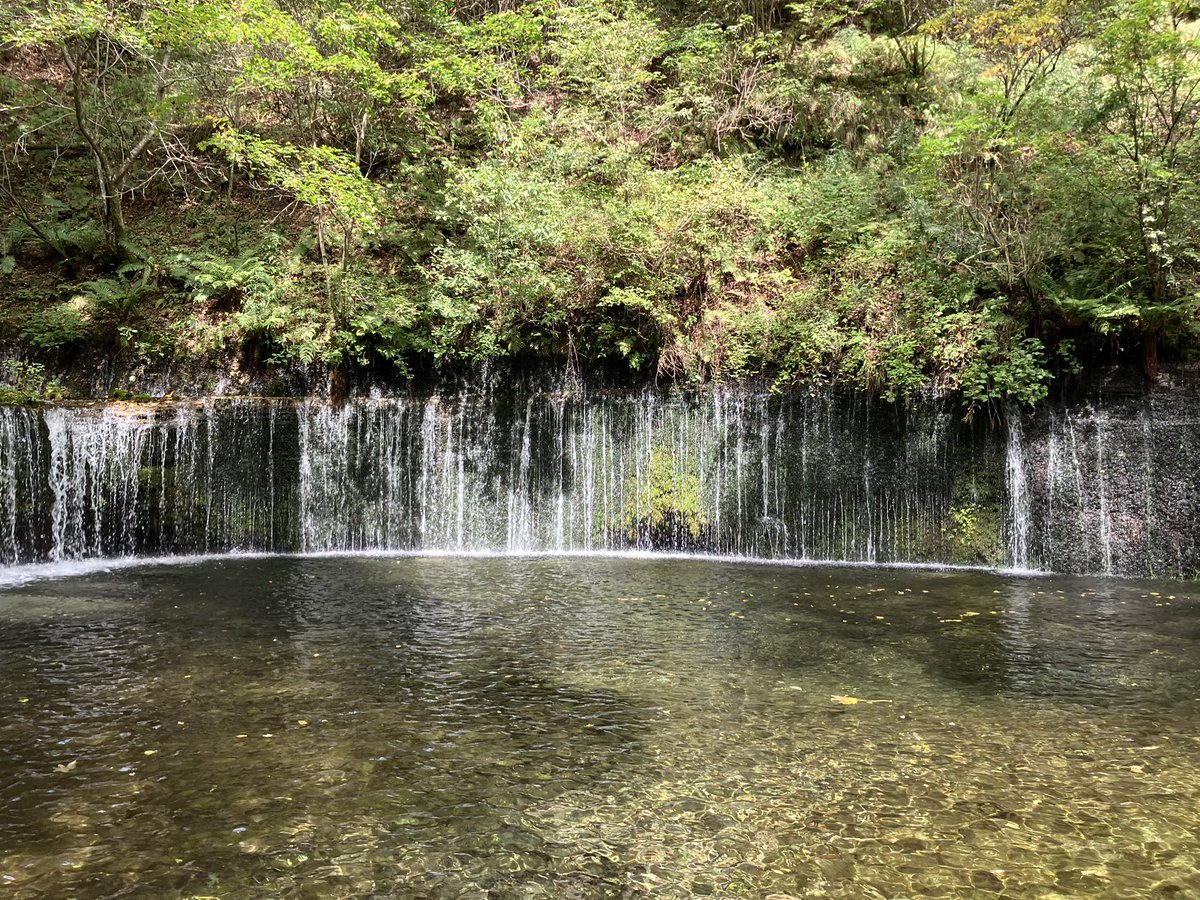 narinaryo's tweet photo. #万座温泉 #ぐんまー #観光 9/19🏍️
🚶#万座湯畑 #牛池 →#万座しぜん情報館 #万座空吹 ♨️→#万座ハイウェー #嬬恋牧場 #愛妻の鐘 🔔→#白糸ハイランドウェイト #白糸の滝 →#ミカドコーヒー #軽井沢旧道店 ☕️🍦→#めがね橋 #碓氷第三橋梁 🚂→#高坂SA #Kukuru 🌭🥯 https://t.co/l943b4tnyM