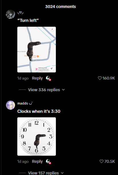 Thedev1738's tweet photo. THIS IS GIGA VIRAL over 3.5MIL views on just the tweet alone? and also GIGA VIRAL on tiktok with hella memes in the comments??

DID THIS CAT SERIOUSLY BENT ITS BODY TO FORM A RIGHT ANGLE??? 

The right angle cat is really viral on TikTok right now and everybody is making memes in the comment section about it

The meme already has a CapCut template which has 8K uses in only 1-2 days!

Check the memes below lmao

TikTok Video:https://t.co/DjikuiBOc3
