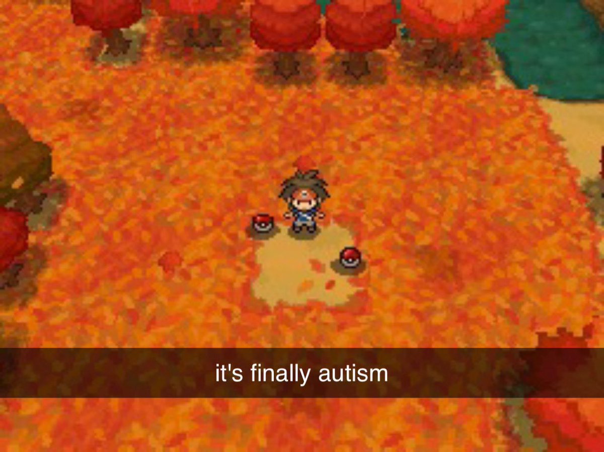 OOC_Unova's tweet photo. it is finally autism 🍂 https://t.co/uIlr2Yflps