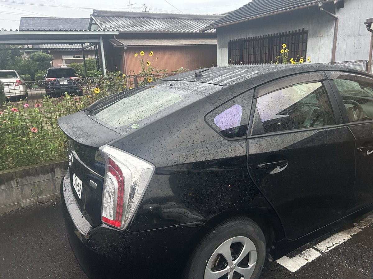 shoooooochann07's tweet photo. フィルムとりあえずおけい
あとはダークを重ねたいところ
フロントはまた来月www https://t.co/WSgGEE7oD5