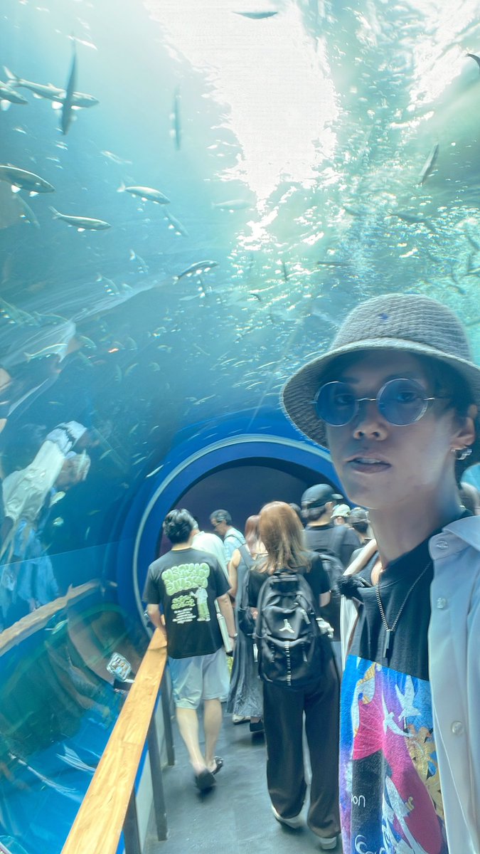 ada_shohei's tweet photo. 琵琶湖博物館めっちゃよかった
クオリティがその辺の水族館を超えてる
まさかのアザラシもいたし https://t.co/0246UlxBHt
