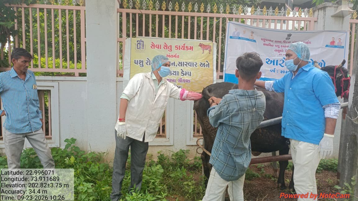 infodahodgog's tweet photo. *સીંગવડ તાલુકામાં સેવા સેતુ કાર્યક્રમ અંતર્ગત પશુ સારવાર કેમ્પ યોજાયો*
તંદુરસ્તી જાળવવામાં સહાય મળી રહી છે.
@PMOIndia @CMOGuj @collectordahod @InfoGujarat #SSADHD https://t.co/ekmAiJYeZY