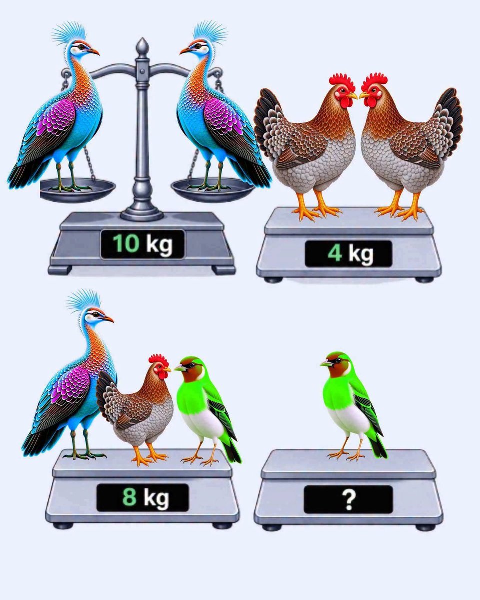 Motivational__G's tweet photo. How many kilograms will it weigh altogether? 

Only sharp minds can get it right! 🧠 https://t.co/WI9yyuXYP8