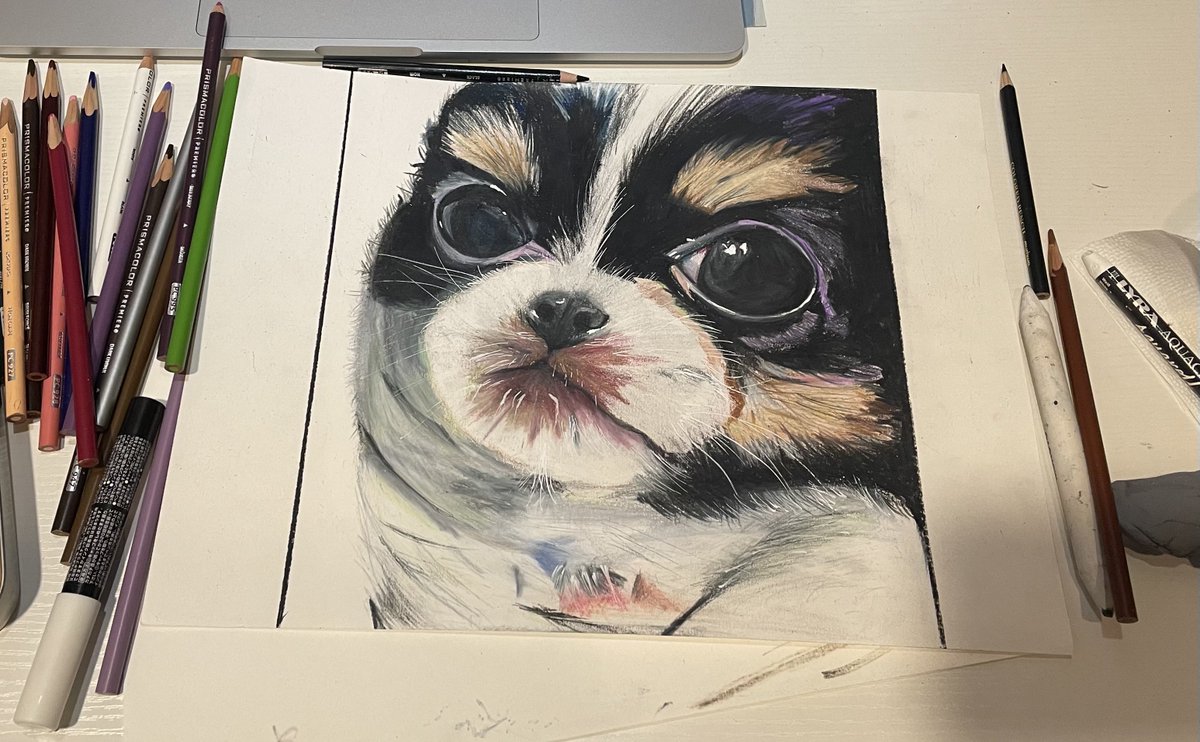 qorqnfl's tweet photo. 한 달도 안 됐을 때로 정정할게요
이게 반년 됐을 때 그림 (210701) https://t.co/JPPaXYdL4h