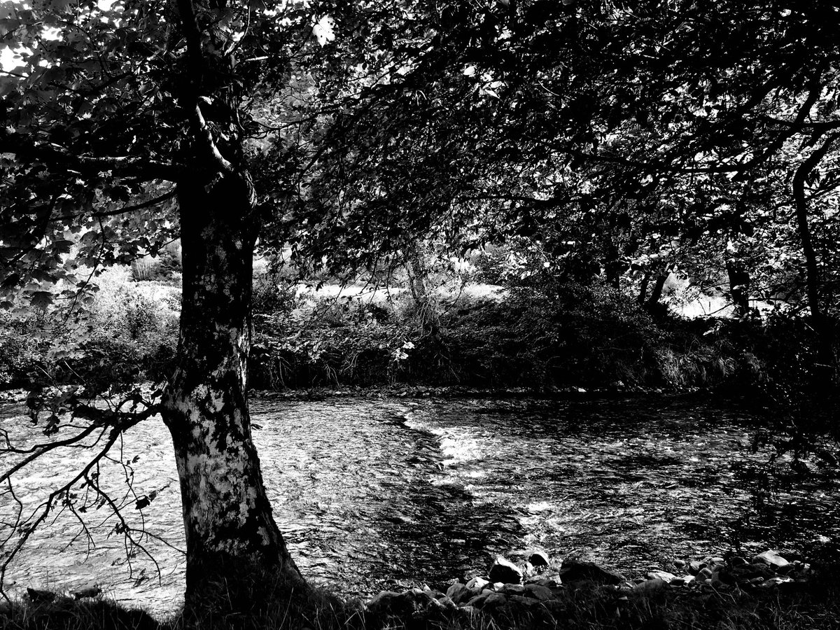 BoMandeville's tweet photo. arrival of autumn 1/2
(after Autumn equinox)
foraging light โ 5 years ago
photographic memories
#blackandwhitephotography
#trees #naturephotography
#atumnal #light https://t.co/qKVzGqboP0
