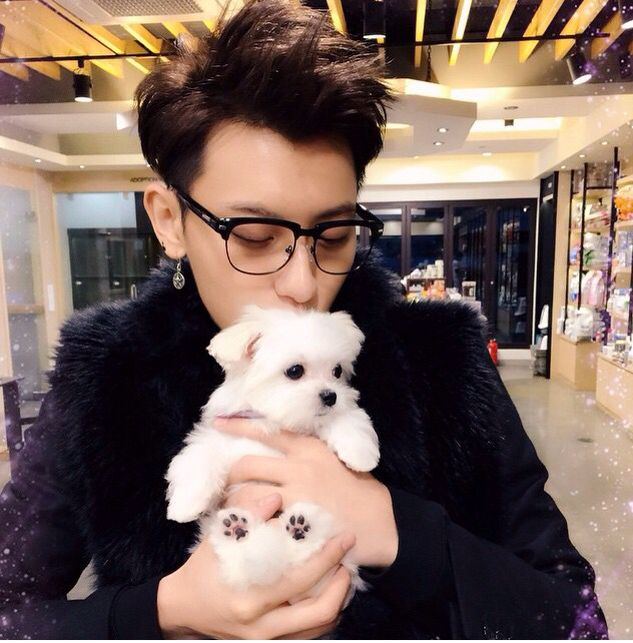 dechampa_'s tweet photo. พูดถึงปีนั้น ตอนนั้นเทาซื้อบ้านซื้อรถ เลี้ยงหมาที่เกาหลีใต้ น้องมอลทีสที่ชื่อแคนดี้ (เลี้ยงก่อน kandy แล้วก็ ace หลังกลับมาจีน) ซื้อรถมาเซราติไว้ ตอนออกจากวงเลยประกาศขายรถครึ่งราคา คือคนที่มันตั้งใจจะออก จะซื้อทรัพย์สินไว้ขนาดนี้ทำไมวะ https://t.co/eS56nsPBE1