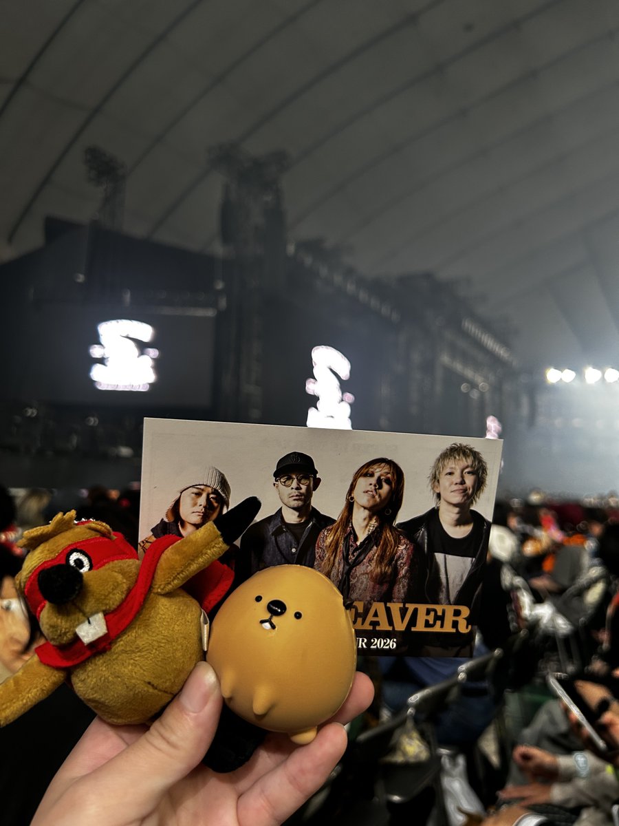 D_dsprd's tweet photo. SUPER BEAVER
東京ドーム
2日目

やりましょう！ https://t.co/dpqof1c7NF