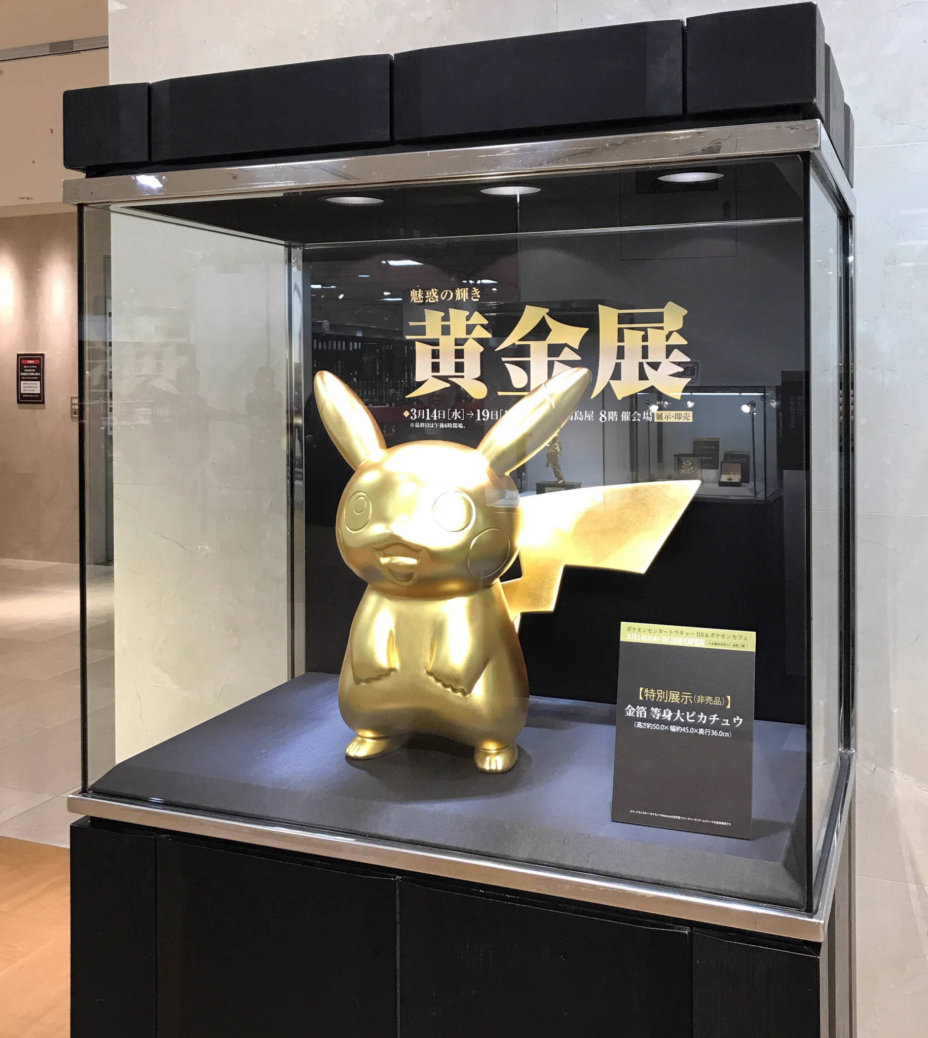 ポケモン情報NAKAYAMA【非公式】 on X: 