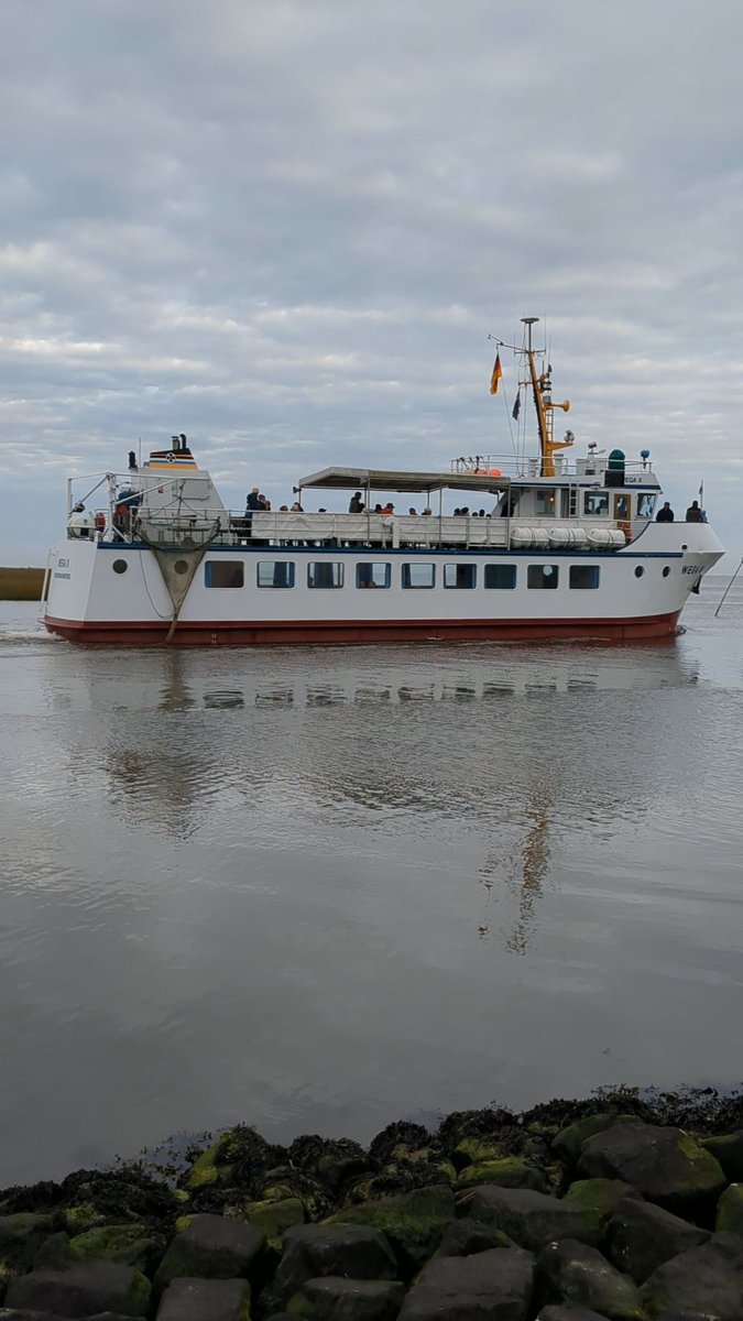 Nordwestroute's tweet photo. Moin aus Butjadingen.. #Fedderwardersiel #butjadingen #nordsee #wesermarsch #Burhave #tossens #eckwarderhörne ich https://t.co/9orBDPK94v