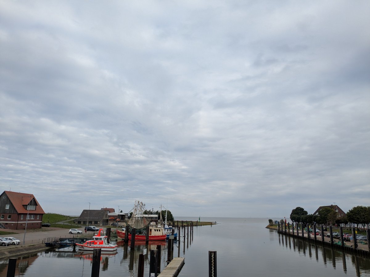 Nordwestroute's tweet photo. Moin aus Butjadingen.. #Fedderwardersiel #butjadingen #nordsee #wesermarsch #Burhave #tossens #eckwarderhörne ich https://t.co/9orBDPK94v