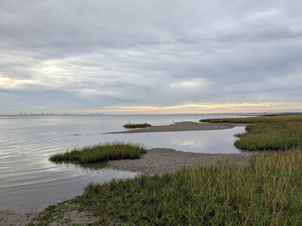 Nordwestroute's tweet photo. Moin aus Butjadingen.. #Fedderwardersiel #butjadingen #nordsee #wesermarsch #Burhave #tossens #eckwarderhörne ich https://t.co/9orBDPK94v