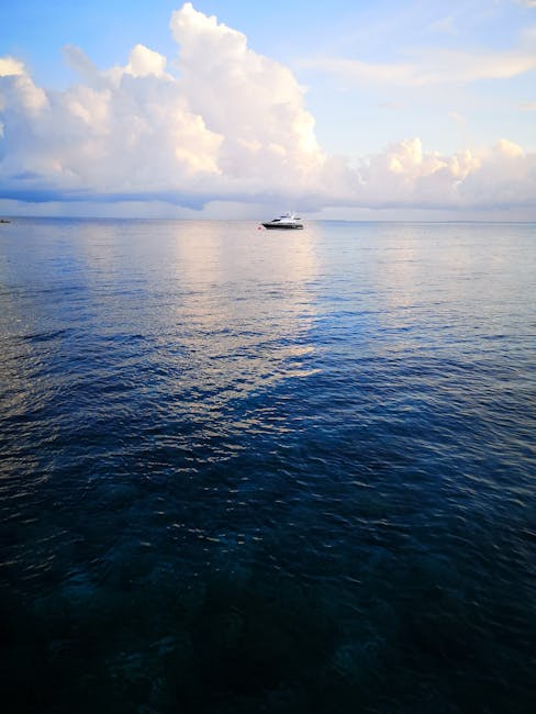 violetsti7bf's tweet photo. at the door, world your You’ll as breathing slows and deepens. feel the josiah wetherell🚤 https://t.co/VldJPo5MRH