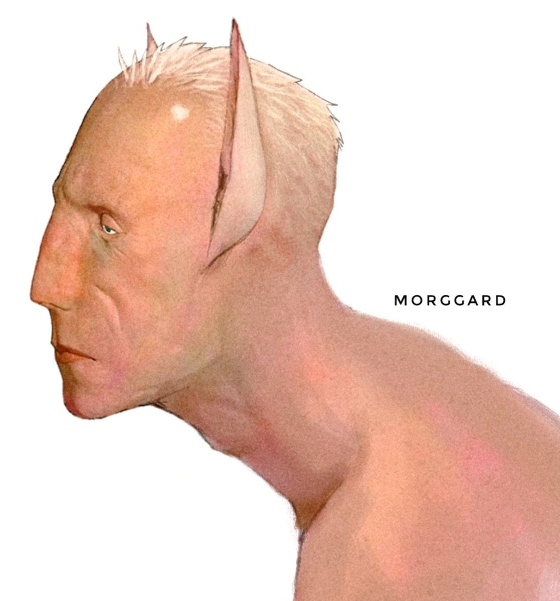 Morggard's tweet photo. I have characters so I can explore the beauty of human species and see what other alterations I can add; and it's more convenient to do when it's tied to the certain characters instead of abstract blobs; simple as that; https://t.co/4bgNPbMpDG