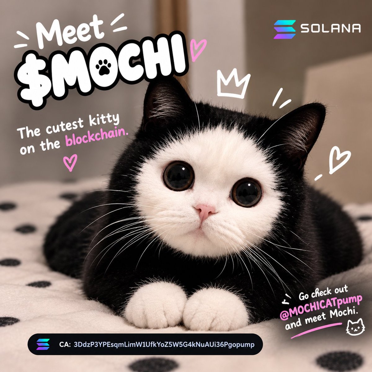 iswhykay's tweet photo. Everyone loves a cute cat. 
But this one is on-chain.
Meet $MOCHI — the black & white cutie with the huge eyes bringing pure serotonin to Solana.

No complicated story. No forced narrative.
Just MOCHI being ridiculously cute and building a community around a character that’s instantly recognizable.

The branding is simple.
The character is memorable.
And honestly… that face is hard to ignore. 

$MOCHI 
The cutest kitty on the blockchain.

CA: 3DdzP3YPEsqmLimW1UfkYoZ5W5G4kNuAUii36Pgopump

Pumpfun: https://t.co/3YsKPwFM7E

Tg: https://t.co/XP8udWxAvm

X: @MOCHICATpump 

Go check out MOCHICAT pump and meet Mochi. 🐱