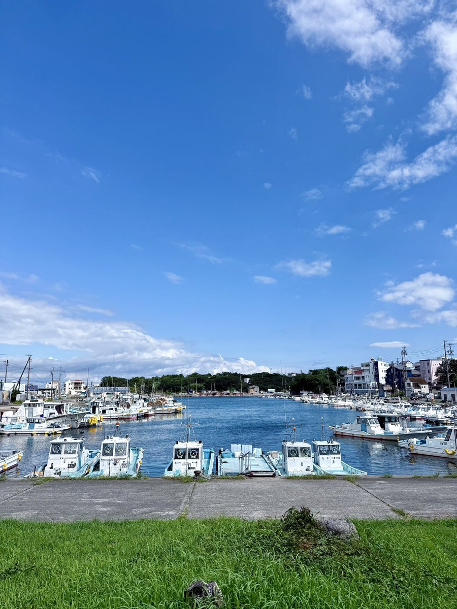 Soooooka3's tweet photo. 釣りキャンからの日間賀島行ってきた〜

タコが有名な小さい島なんだけど、島中にレトロな雰囲気があってとても良かったです🐙 https://t.co/ad598Uyhh1