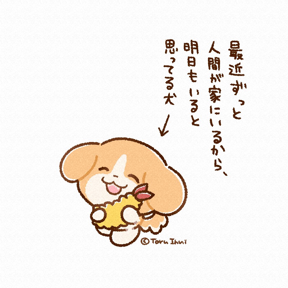 bokukinakodayo's tweet photo. あしたはなにしてあそぶ～？🐶 https://t.co/Q8yZz37pBM