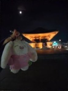 bboing212 tweet picture