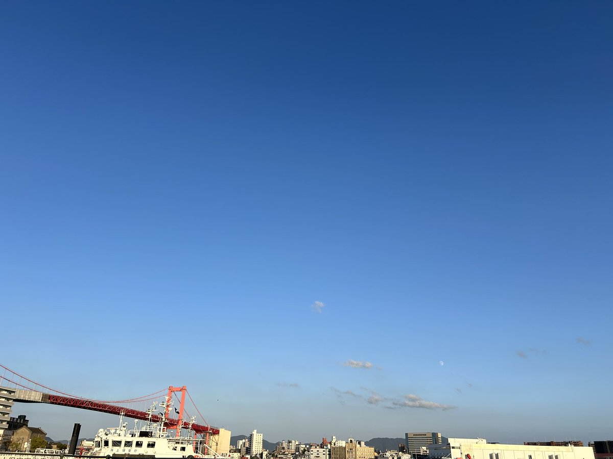 ohigenokazu's tweet photo. 今日の1番良かったことは樹さんと海辺で偶然会えたことです。スカンクノオト通信。 https://t.co/na89RNynte