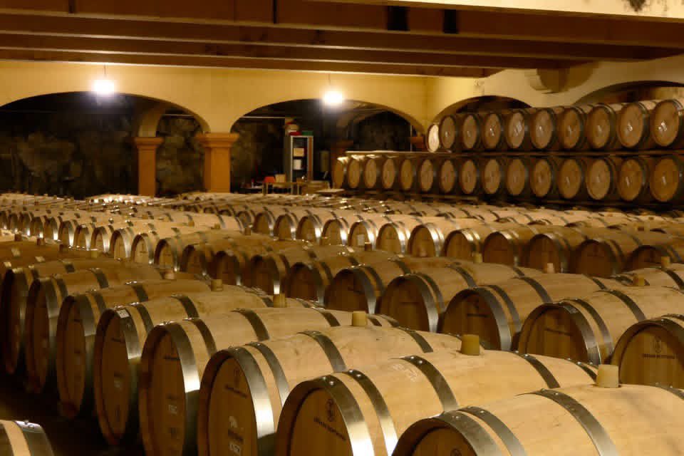 JLeonardelli_'s tweet photo. 🍇 Au Château l’Hospitalet dans l’Aude, nos échanges portent sur l’avenir de la viticulture face à la sécheresse et aux incendies.

Face au défi climatique, notre devoir est d’anticiper pour garantir l’accès à l’eau, préserver nos terroirs et permettre de continuer à produire. https://t.co/86B8wEApFv