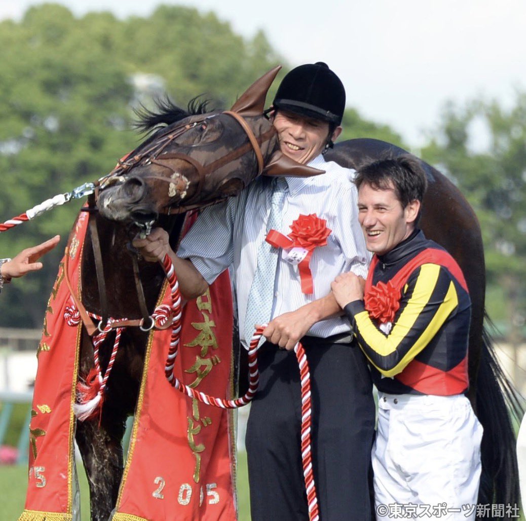 tospo_keiba's tweet photo. 📷おかげさまで大好評！新しく実装された「東スポ競馬Web」のデータベースで名馬の写真を振り返ろう❕

15年日本ダービー（GⅠ）を制したドゥラメンテ🐴 https://t.co/WaLJoeW57H

「東スポの取材力」が凝縮されたデータベースでは、名馬のあ〜んなショットやこ〜んなショットが盛りだくさん🙂‍↕️詳しくは→ https://t.co/jEMymsPg8r