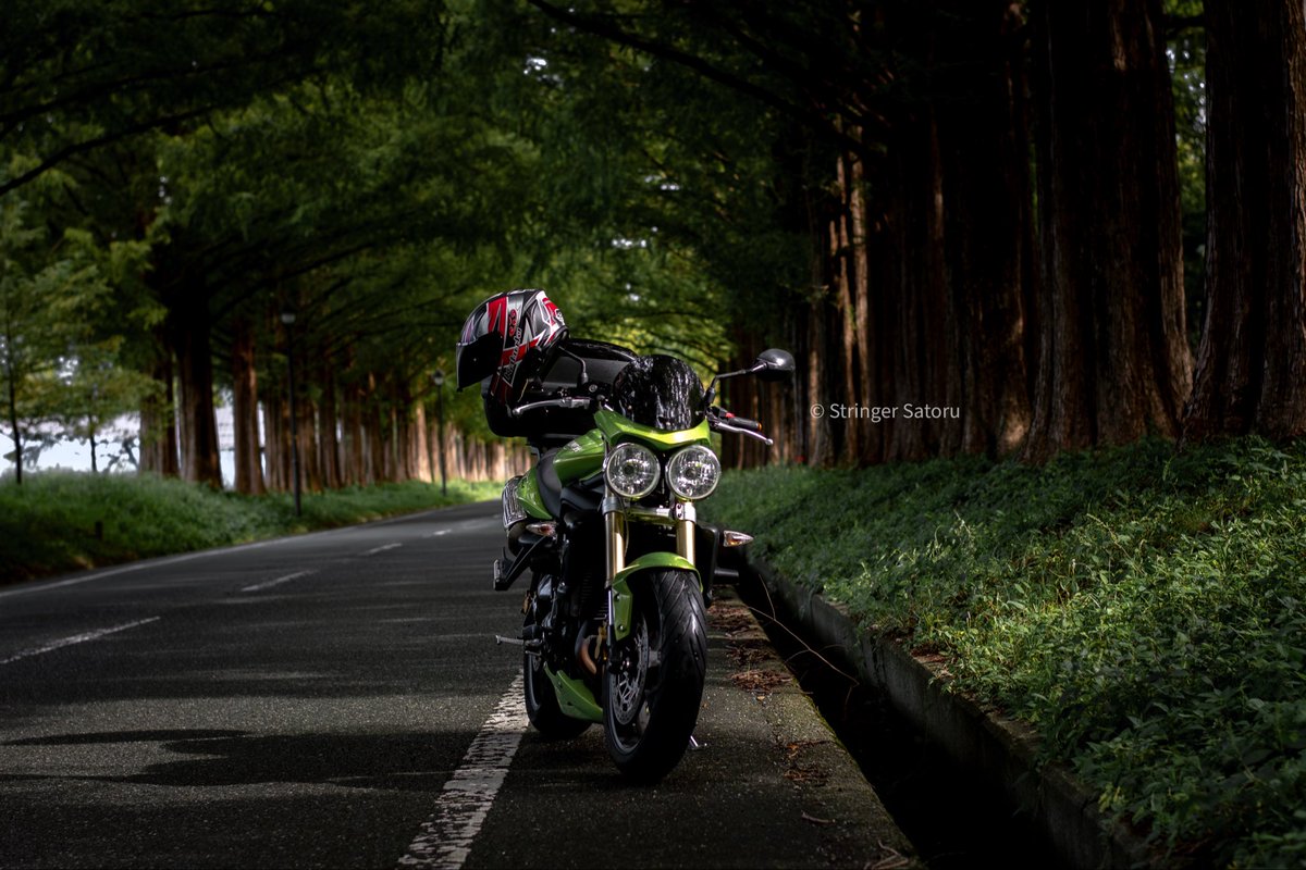 Go_77sKYOTO's tweet photo. 先日のツーリングより。
早朝の木陰を狙いました。
Triumph street triple

#touringphoto https://t.co/8Zmp9rE1xE