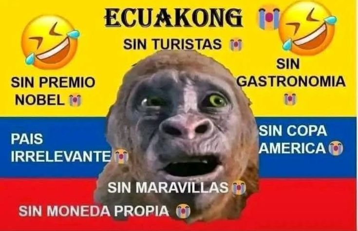 RodrigoFlovpwr's tweet photo. @Christo45356155 @AllFutbolMX @marca No hay nada peor que ser un sucio zambo ecuatoriano. Lo único por lo que es relevante tu país es por ser la línea divisora de los hemisferios 😂😂 https://t.co/KtQmyAOFXJ