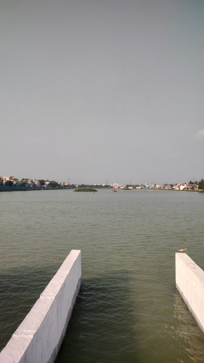 asdbharathi's tweet photo. It’s Water Wednesday!

Time for favourite water shots 🌊

#theme_pic_India_nature 
Madhavaram Lake, Chennai. https://t.co/RdP9tG7GCY