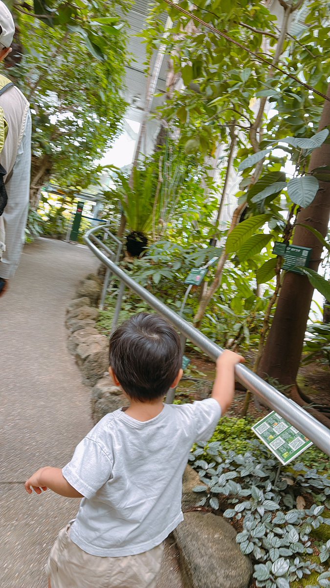 minamo13km's tweet photo. 大型のダイソー行きたくて
そのあと近くに亜熱帯植物館があったから行ってきた https://t.co/x5zVsyLeWU