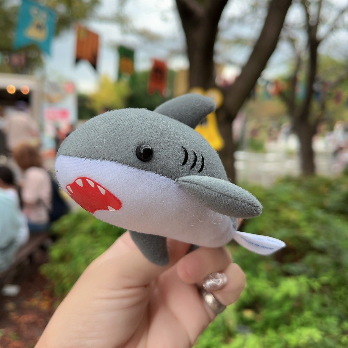 Nemu_Shark's tweet photo. わーーい！
げっちゅ🦈𓈒𓏸 https://t.co/4g6zKzYeMV