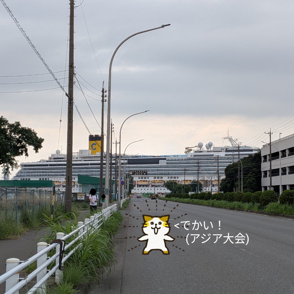 sararu1213's tweet photo. いつもの場所🌊🌉
二輪免許7年目突入🏍️💨 https://t.co/2dsCohMBQk