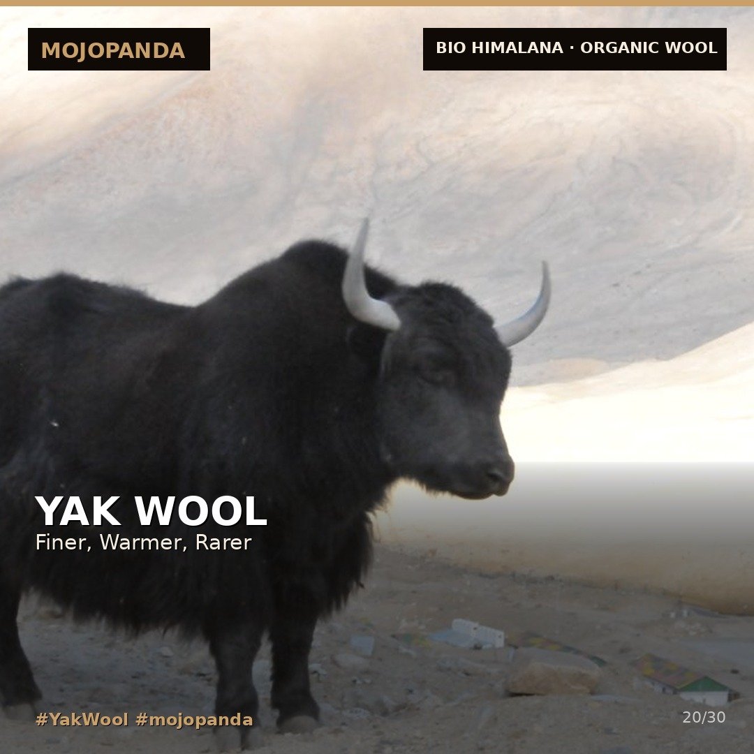 mojopandaexim's tweet photo. #madeinindia #indianwool #HimalayanCraft #uttarakhandwool #KashmirWool #incredibleindia #vicalforlocal #handmadeindia #RuralIndia #ShepherdLife #indianartisanswork https://t.co/vwojVFF7ND