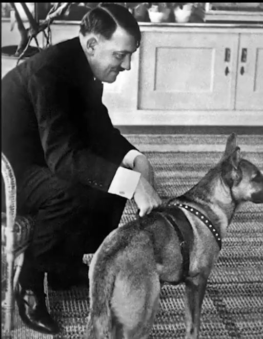 BLONDIhd's tweet photo. #MeinWolf #AnimalLover #MeinFührerMeinHero https://t.co/fkzRAWzc4f