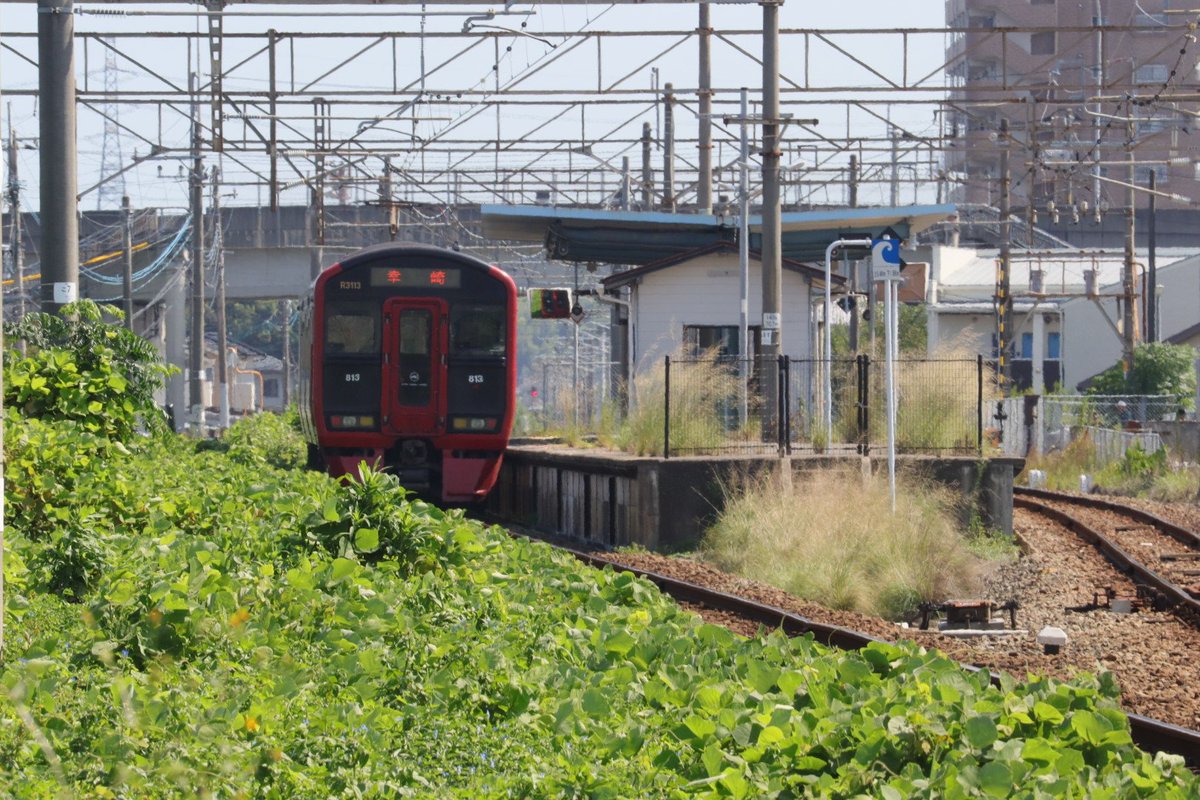 jikko680687's tweet photo. 【今日の787系】🎌2026/9/23(Wed)
5006M特急にちりん6号 宮崎空港7:45発 大分行き(大分11:10着)
787系 BO6101編成(分オイ) ※営業車検測装置搭載車両

#787系 #BO6101 #大分車両センター #日豊本線 #大在駅 #坂ノ市駅 https://t.co/kMErkqhMKN