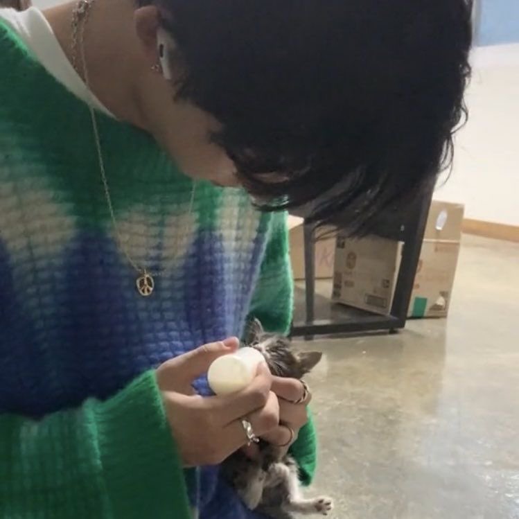 heejakeupi's tweet photo. theyd be the best cat parents together https://t.co/4ZLe3ikZkl