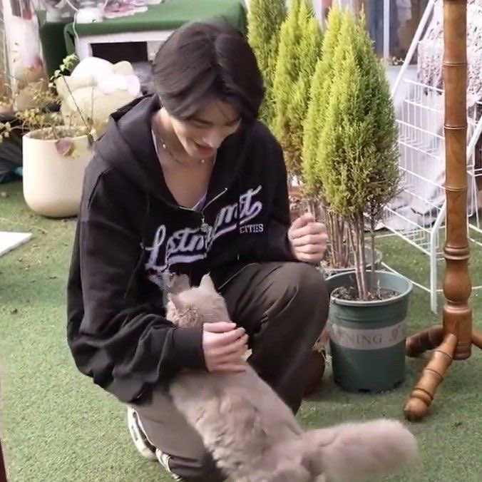 heejakeupi's tweet photo. theyd be the best cat parents together https://t.co/4ZLe3ikZkl