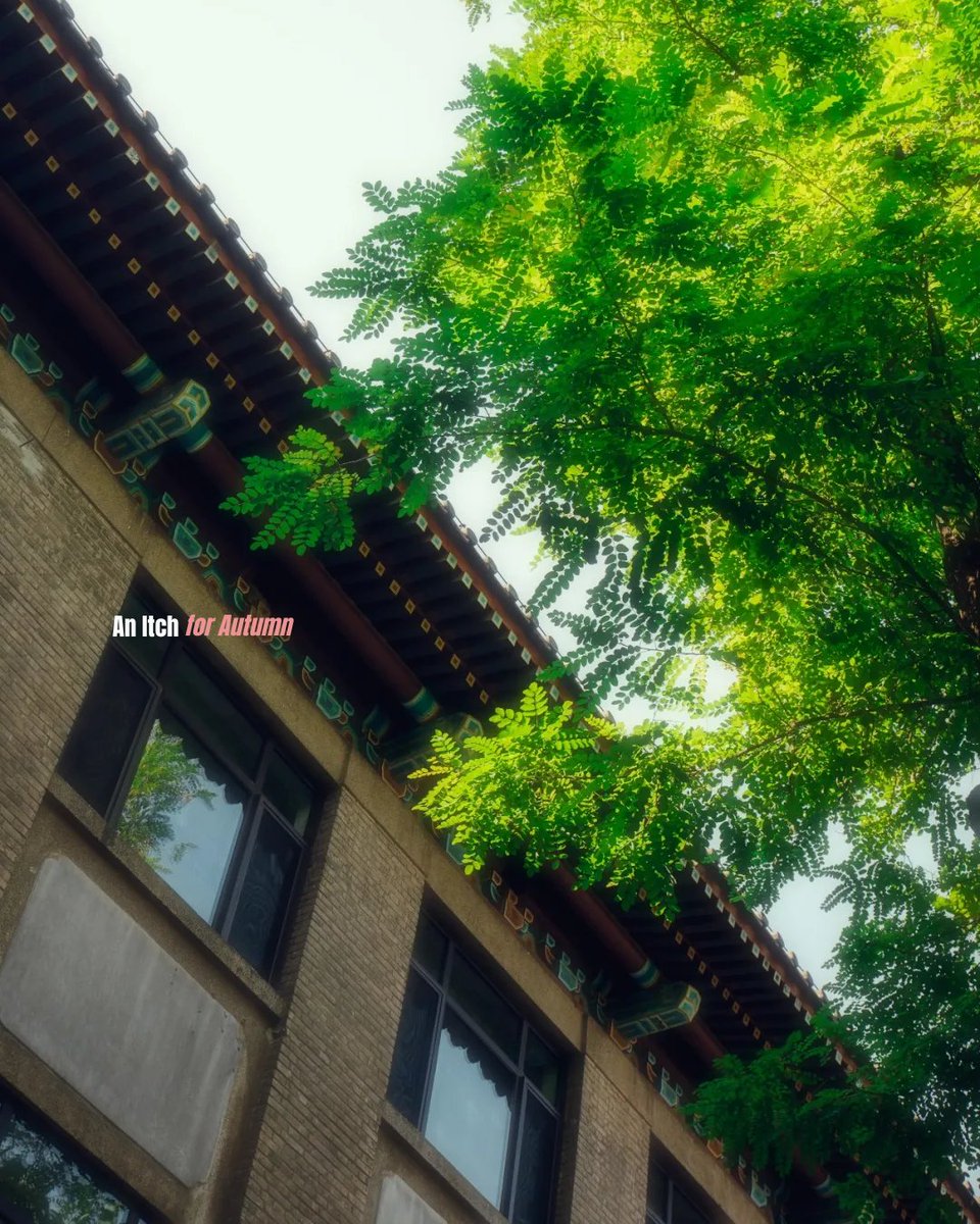 PKU1898's tweet photo. An itch for Autumn, 
like for all.

Not gold yet.
But the light's already changed its mind —
Autumn arrives in the air before it arrives on the trees.

Photographs by Chu Zhaohan, Huang Zhe, Guo Mengjiao, Xiang Tingyan, Zhai Mengkun, Wang Ziqian

#PKUinAutumn https://t.co/XMI2MdIwwh