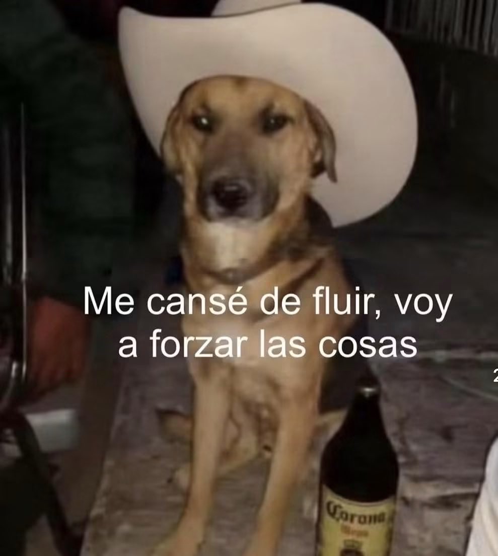 DiloConPerritos's tweet photo. https://t.co/T82bGiAOIO
