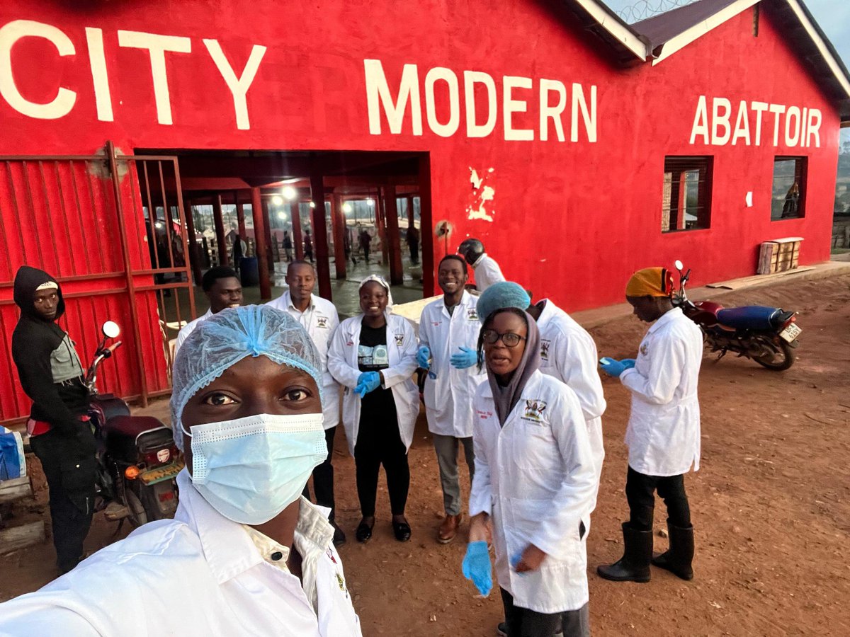fehsu256's tweet photo. ๐๐ฅฉ Day 3 of our National Week of Service:
Meat & bakery inspection isn't red tape, it's a lifeline.
๐ Did you know?
โข Over 1M Ugandans suffer foodborne illness yearly (MoH)
Inspected meat & bread = safer homes, safer Uganda. ๐บ๐ฌ
#FEHSUNWS https://t.co/T3S5671zeR