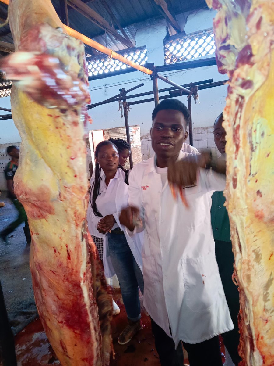 fehsu256's tweet photo. ๐๐ฅฉ Day 3 of our National Week of Service:
Meat & bakery inspection isn't red tape, it's a lifeline.
๐ Did you know?
โข Over 1M Ugandans suffer foodborne illness yearly (MoH)
Inspected meat & bread = safer homes, safer Uganda. ๐บ๐ฌ
#FEHSUNWS https://t.co/T3S5671zeR