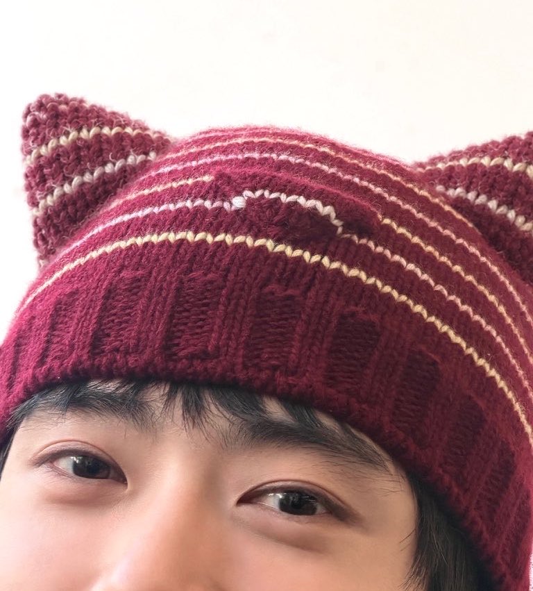 seeeesky's tweet photo. ตระกูลแมวนิ่ https://t.co/SfhIMaDJCy