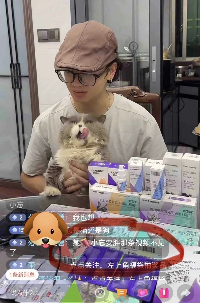 Clair_cogao's tweet photo. この方は、旺旺ちゃん
の惨事があった少し後で
あの坪埔村から、このワンちゃんを保護してくれ
ました。名前は『小忘』
です。

今、この『小忘』の動画
が消されているそう。

#拡散して下さい　と
まわってきました。

#動物虐待者に厳罰を 
#動物拷問虐待ビジネス根絶 https://t.co/Z39vJhgvn7