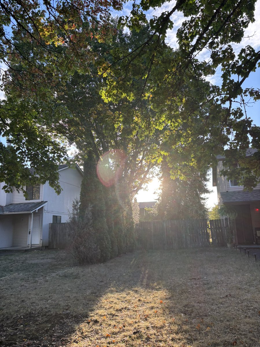 stepherkatt's tweet photo. happy first day of fall🍂🧡 https://t.co/yDDM6csl3A