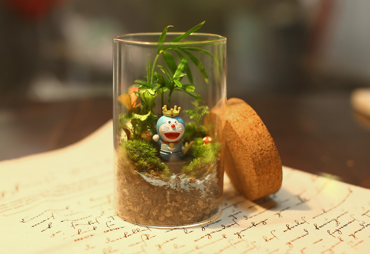 AnissaCampble's tweet photo. My first DIY terrarium! Layered moss + tiny succulents + a bottle cork decor, perfect weekend win https://t.co/bypXNKVfnM