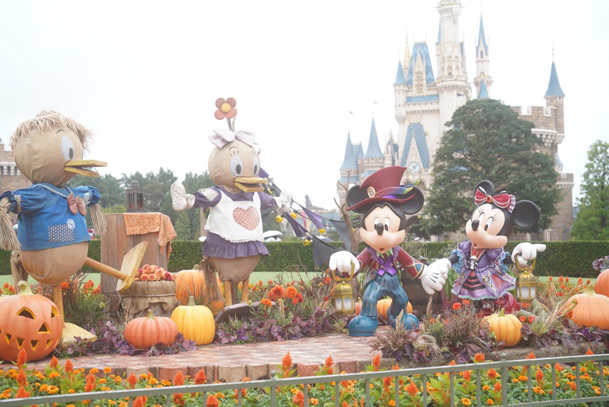 4mphoto's tweet photo. 🎃🏰 https://t.co/ghcPMCOvYi