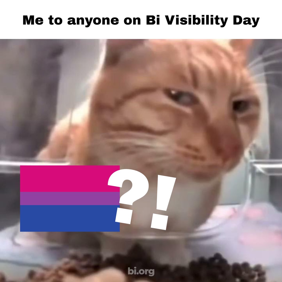 BiDotOrg's tweet photo. HAPPY BI VISIBILITY DAY https://t.co/MlT38abzKb