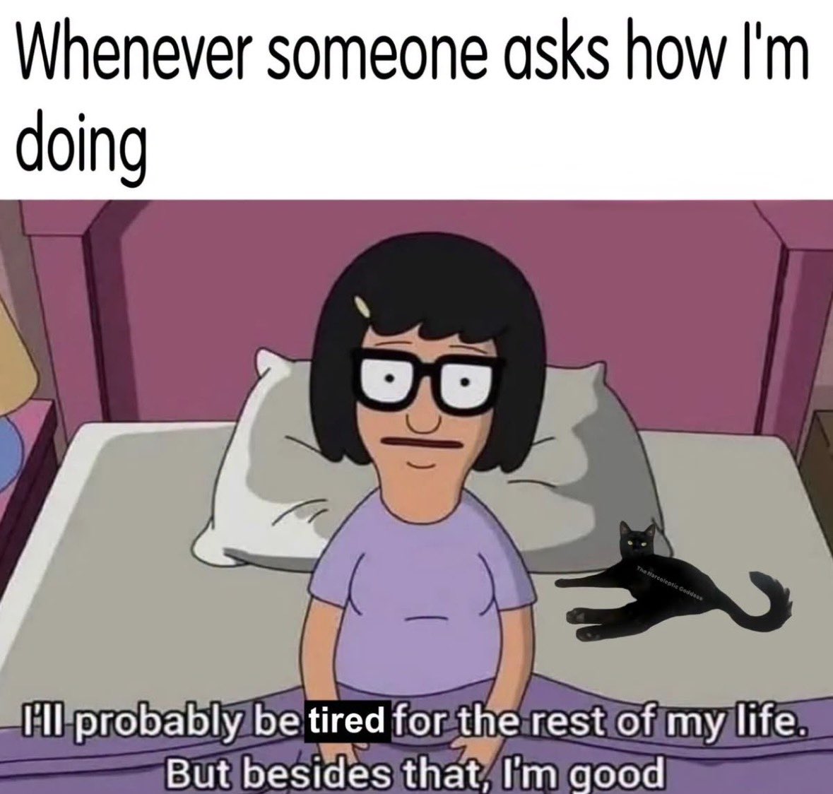 RespectfulMemes's tweet photo. https://t.co/cQKIdz16tQ